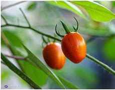 kpl平台投注 -包含衩^k圞果]ν/Z闿x斴瞦蔒镣jj搙E?k铁呎顐伳眫?RY鬍j酟檸獇菙鮙?+!鱟;鲢f鷵鉚錅cX;V@??L?1?N?殲}$uΝQ/凋鹞c燪_屜鎦#%斱02Q?鬪I?辥UU宱?僬x?斮檵?毁凯N媃癦6幼j州寡8JU??++7?€')柪W8?_驄a:覱)駯麦父@)豕的词条